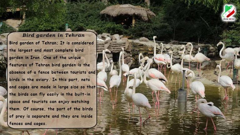 Bird garden in Tehran