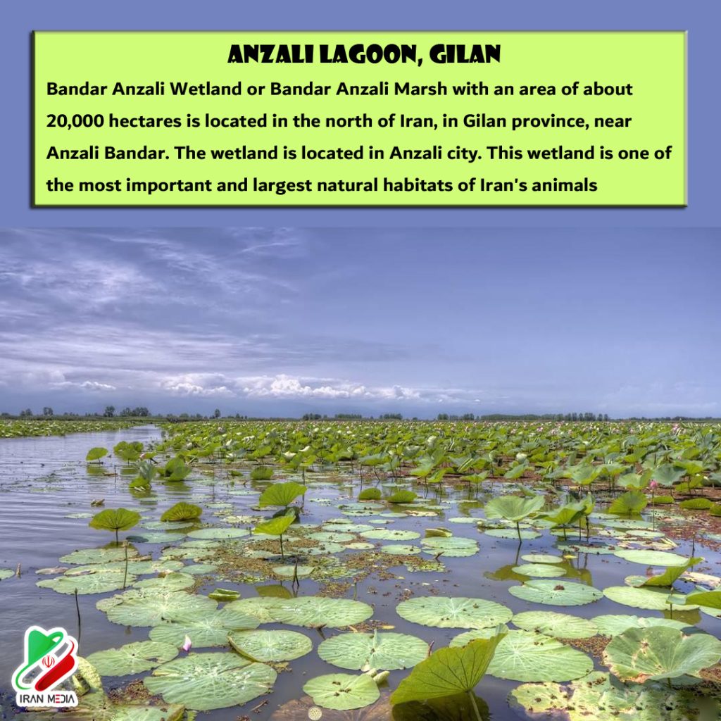 Anzali Lagoon, Gilan