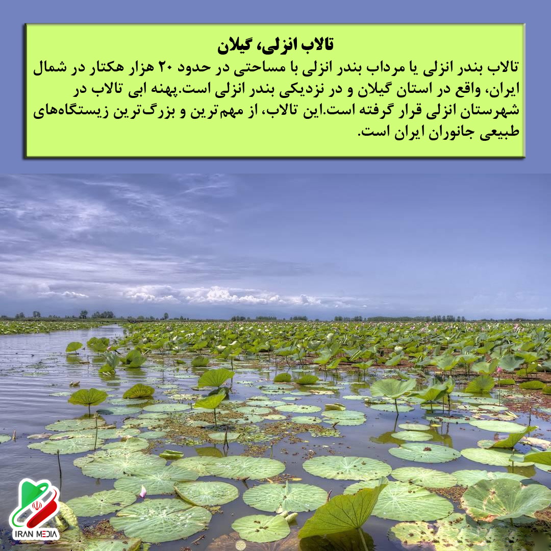 تالاب انزلی، گیلان